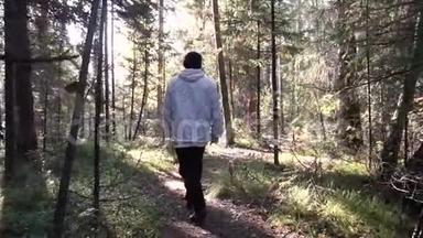 年轻孤独的人在茂密的植被和灌木丛中深入森林。 录像。 从后面走的人的视野